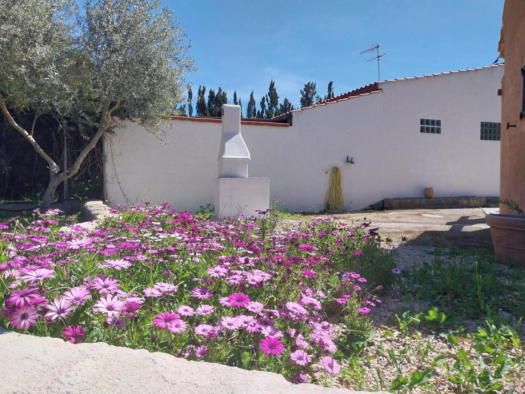 Casal Baratz Leilighet Santa Maria la Palma Eksteriør bilde